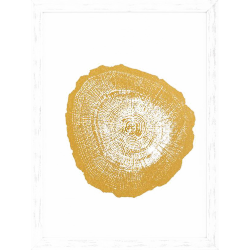 Фото №1 - Постер Gold Foil: Tree Rings(110875-1)