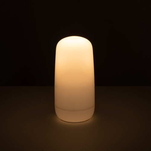 Фото №2 - Настольная лампа Gople(ARTMD0026)