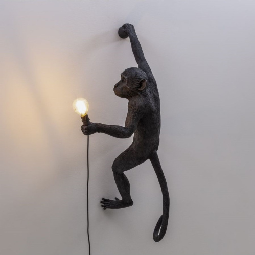 Фото №7 - Настенный светильник Monkey(2S143847)